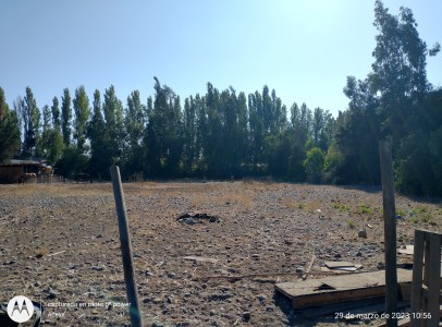 IMG_20230329_105622672_HDR