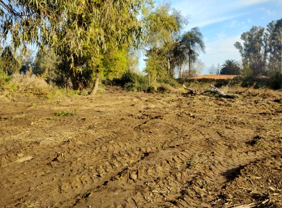 IMG_20240908_094107348_HDR
