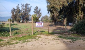 Parcela en Melipilla: ¡Plana, Regadío y Conectividad!